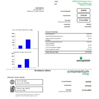 Momentum Energy utility business bill, SCR download template file
