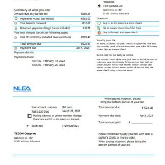 National Lithuanian Energy Association utility business bill, SCR download template file