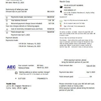 AEC Algerian Energy Company utility business bill, SCR download template file