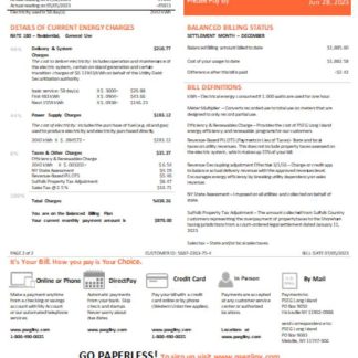 New Jersey PSEG electricity utility bill, SCR, page 1 download template file