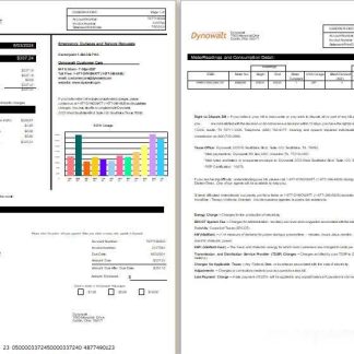 New York Dynowatt electricity business utility bill Word and PDF formats, 2 pages download template file