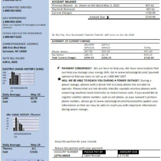 New York National Grid utility business bill, Word and PDF template SCR download template file