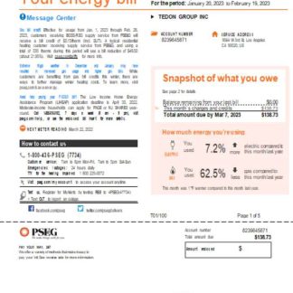 New York PSEG utility business bill, page 1, SCR download template file