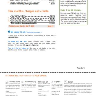New York PSEG utility business bill, page 2, SCR download template file