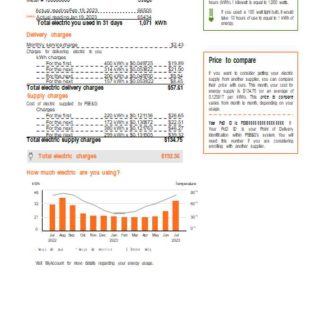 New York PSEG utility business bill, page 4, SCR download template file