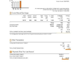 New Zealand Genesis Gas utility bill 3 pages download template file