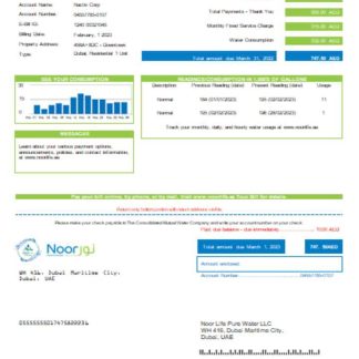 Noor Life Pure Water LLC utility business bill, SCR download template file
