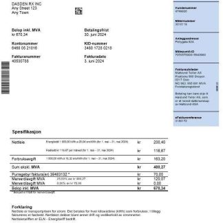 Norway Hafslund business utility bill Word and PDF template download template file