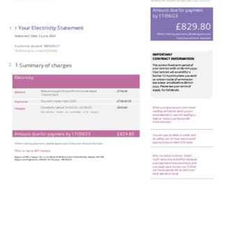 Npower utility business bill, version 2, SCR download template file
