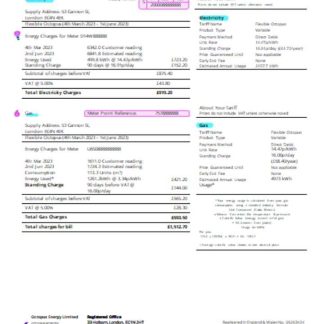 Octopus Energy utility business bill SCR page 2 download template file