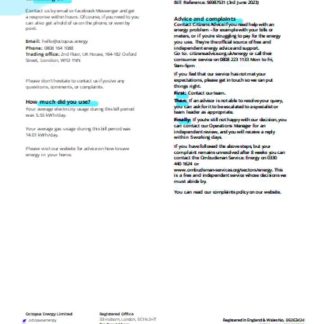Octopus Energy utility business bill SCR page 3 download template file