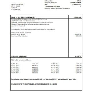 Oldham council tax business bill, SCR download template file