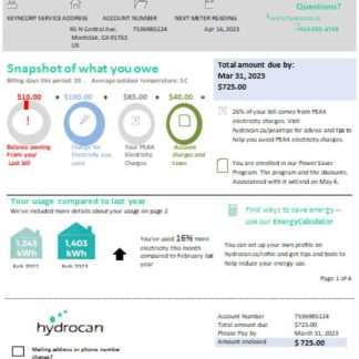Ontario Hydrocan electricity business bill, SCR download template file
