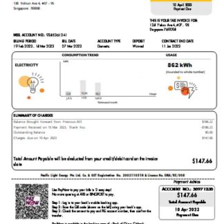 Pacific Light electricity utility business bill SCR download template file