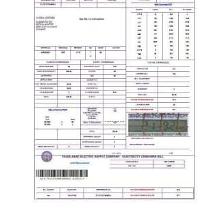 PAKISTAN FAISALABAD business utility bill Word and PDF template download template file