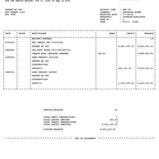 PAKISTAN HBL business utility bill Word and PDF template download template file