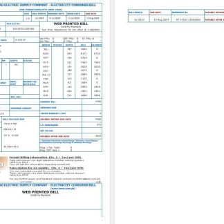 PAKISTAN IESC business utility bill Word and PDF template download template file