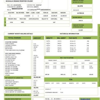 PAKISTAN K ELECTRIC LIMITED business utility bill Word and PDF template download template file