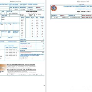 PAKISTAN MULTAN ELECTRIC POWER business utility bill Word and PDF template download template file