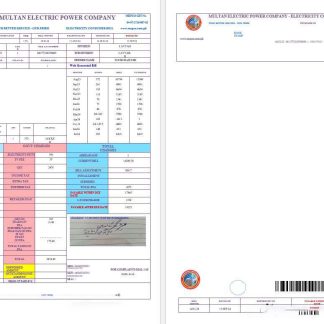 PAKISTAN MULTAN ELECTRIC POWER business utility bill Word and PDF template, version 2 download template file
