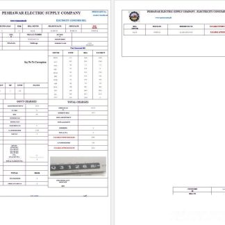 PAKISTAN PESHAWAR ELECTRIC SUPPLY COMPANY business utility bill Word and PDF template download template file