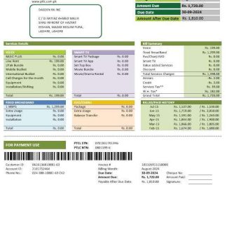 Pakistan PTCL business utility bill template in Word and PDF formats download template file
