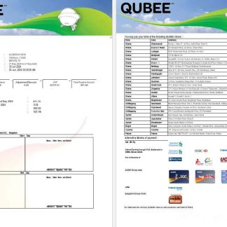 PAKISTAN QUBEE business utility bill Word and PDF template download template file