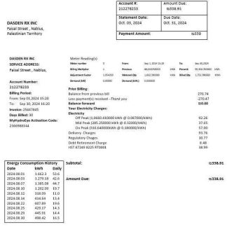 Palestine Electric Company (PEC) business utility bill template in Word and PDF formats download template file