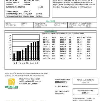 Panama Nexsun Power Corporation electricity business utility bill Word and PDF template download template file