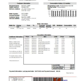 PDS Ghana Limited electricity utility business bill, SCR download template file