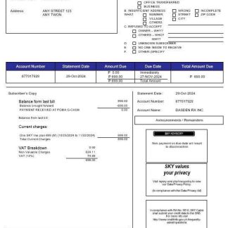 Philippines Sky Cable Corporation business utility bill Word and PDF template (2) download template file