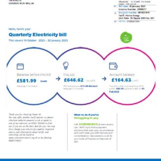 Power NI utility business bill, SCR download template file