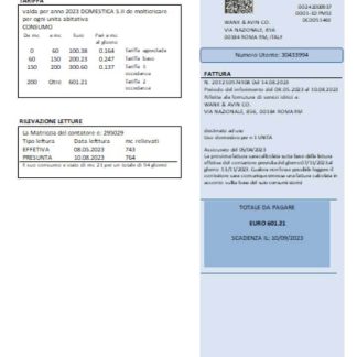 Publiacqua utility business bill, SCR download template file