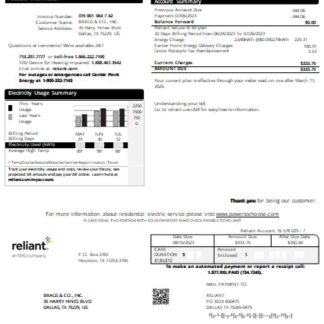 Reliant Energy utility business bill, SCR download template file