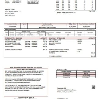 Repower AG utility business bill SCR download template file