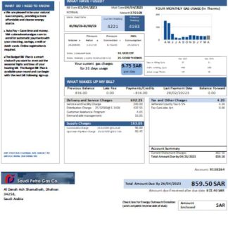 Saudi Petro Gas utility businessbill, SCR download template file