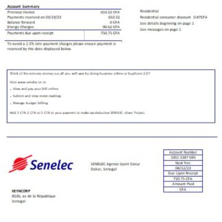Senelec Agence Sacré Coeur Company electricity utility business bill, SCR download template file