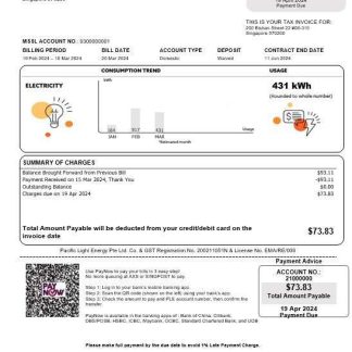 Singapore Pacific Light electricity business utility bill template in Word and PDF formats download template file