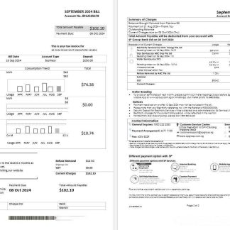 Singapore SP Group business utility bill template in Word and PDF formats (2 pages) download template file