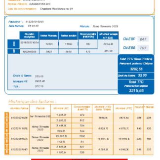 Societe Algerien Distribution internet utility business bill, SCR download template file