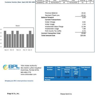 Bahamas Power and Light Company business utility bill template in Word and PDF format download template file