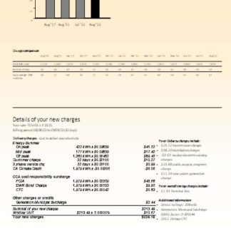 Southern California EDISON utility business bill, page 4, SCR download template file