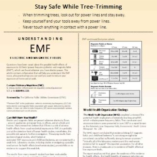 Southern California EDISON utility business bill, page 7, SCR download template file