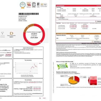 SPAIN EDP business utility bill template, version 2 download template file
