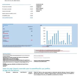 SPAIN ENDESA business utility bill Word and PDF template pages1 download template file