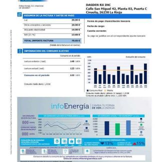 Spain Endesa luz business utility bill template in Word and PDF formats download template file