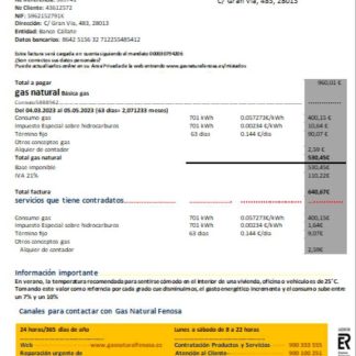 Spain GasNatural fenosa utility business bill, SCR download template file
