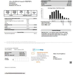 Spire gas utility business bill, SCR download template file