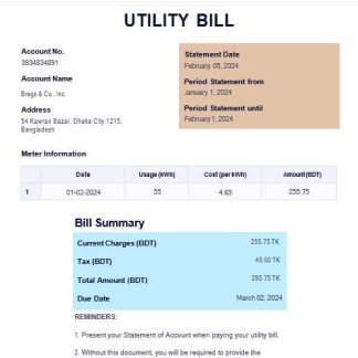 BANGLADESH WAZIPADICO POWER business utility bill Word and PDF template download template file