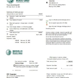 State Grid Corporation of China electricity utility business bill SCR download template file
